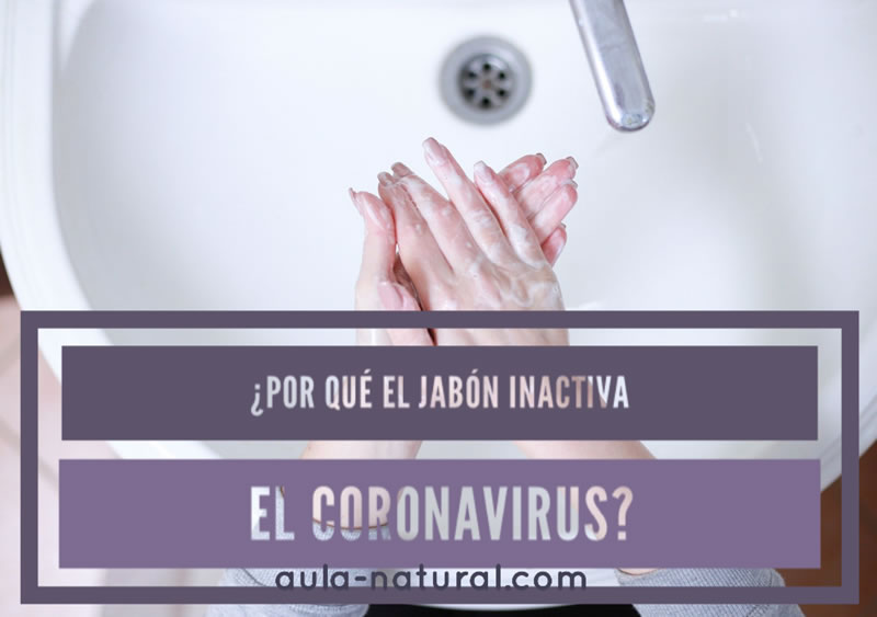 ¿Por qué el jabón inactiva el coronavirus?